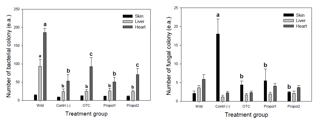 Comparison of the number of bacterial (left) and fungal (right) colony on the skin, in the heart and liver of metamorphosed R. dybowskii ’s juveniles which reared at different treatments of control, OCT, propolis I and II exposure