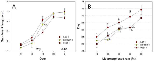 Growth rate (SVL, A) and time to metamorphosis (B) based on different temperature treatments