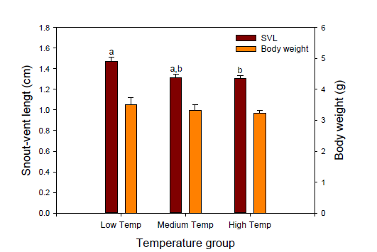 Snout-vent length and body weight of metamorphosed juveniles based on different temperature treatments