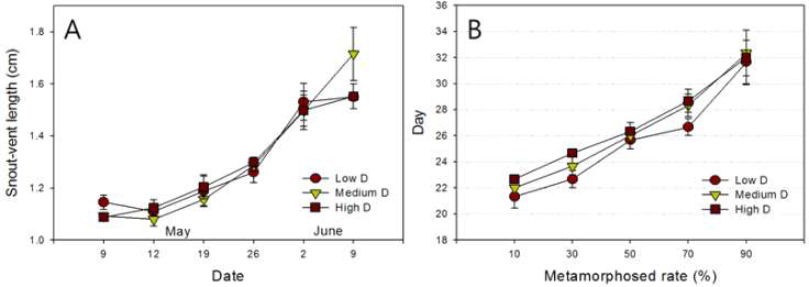 Growth rate (SVL, A) and time to metamorphosis (B) based on different tadpole density treatments