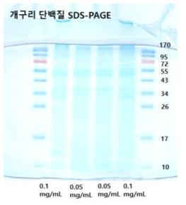 SDS-PAGE of frog proteins