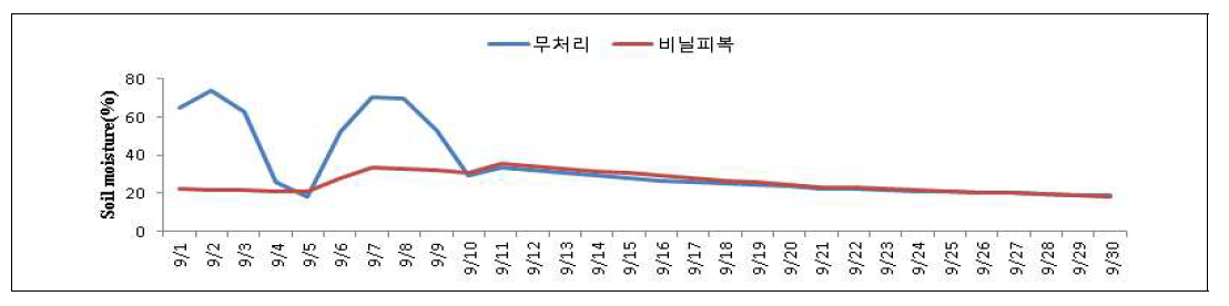 비닐 피복에 따른 토양수분 변화