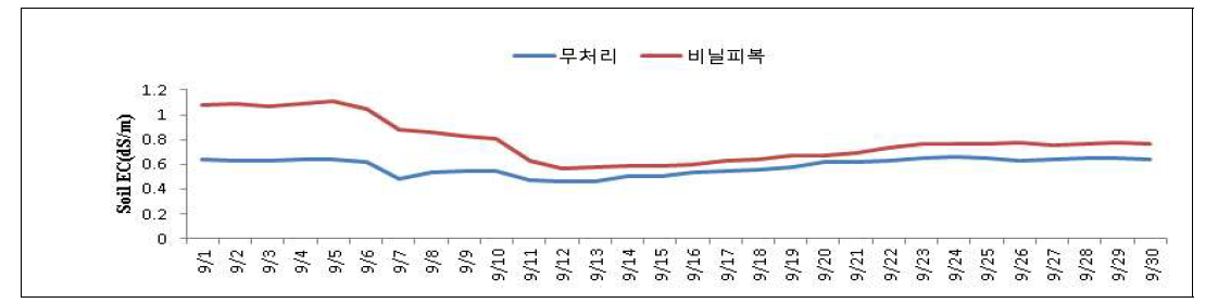 비닐 피복에 따른 토양 전기전도도 변화