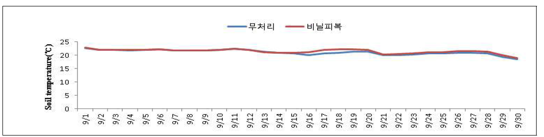 비닐 피복에 따른 토양 온도 변화