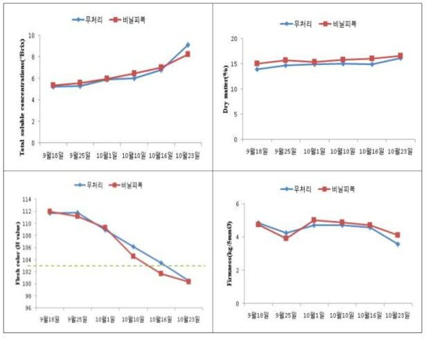 비닐피복 처리에 따른 수확 전 과실 특성 변화