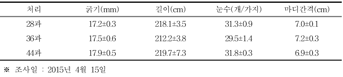 골드키위 착과량 조절 처리전 초기 가지(결과모지) 생육(2015년)