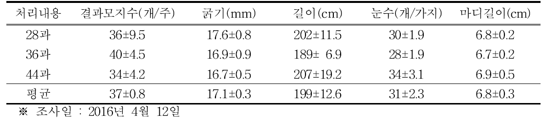 골드키위 착과량 조절 처리전 초기 가지(결과모지) 생육(2016년)