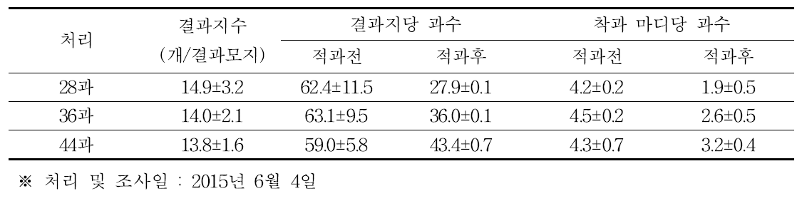 골드키위 착과량 조절 처리 전후 착과량(2015년)