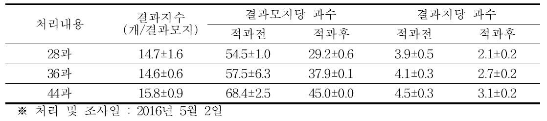 골드키위 착과량 조절 처리 전후 착과량(2016년)