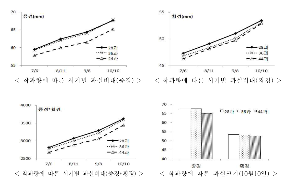 조사 시기별 착과량에 따른 과실 비대 상황(2016년)