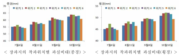 장과지에서 결과지내 착과위치에 따른 과실 비대상황(2016년)