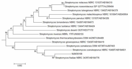Neighbour-joining tree based on 16S rRNA sequences showing relationships between the strains. Numbers at nodes indicates levels of bootstrap support (%) based on neighbor-joining analysis 1,000 resampled datasets. Bar, 0.002 substitutions per nucleotide position