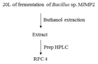 Bacillus sp. MJMP2로부터 활성 물질 분리 정제