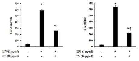 LPS로 유도된 Raw264.7 세포의 염증반응에서 봉독의 염증 억제 효과, 세포배양액의 TNF-α와 IL-6의 발현량 측정