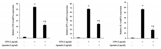 LPS로 유도된 Raw264.7 세포의 염증반응에서 아파민 처리 후 TNF-α, IFN-γ, IL-6 의 mRNA 발현 변화