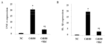 피부소양증 동물모델에서 멜리틴이 염증관련 사이토카인인 TNF-α와 IL-1β의 발현에 미치는 영향 관찰