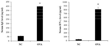 OVA로 유도된 아토피 동물모델의 혈중 IgE와 IFN-γ 발현량 측정