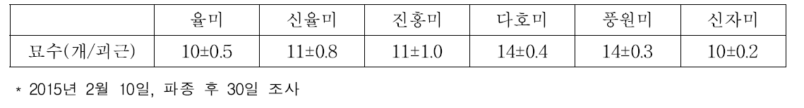 품종별 맹아 묘수 조사