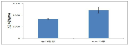 파종 간격에 따른 괴근 수량