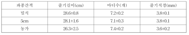 파종간격에 따른 묘 길이, 마디 수, 직경