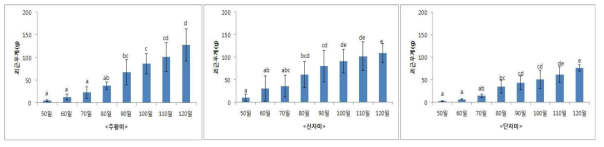 조기재배 삽식 후 중간질 고구마의 괴근 무게 증가 양상 * 2015∼2017년 괴근 무게 조사