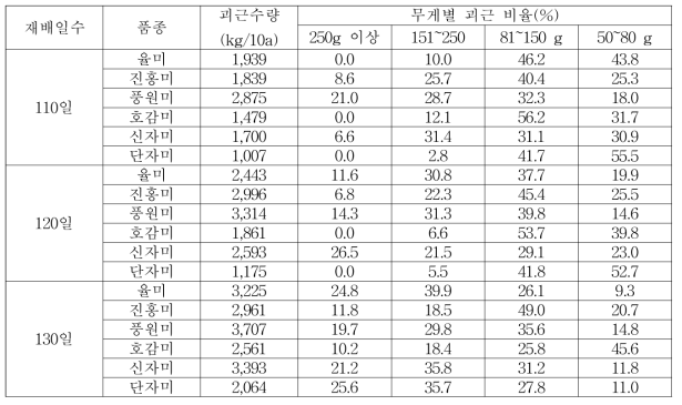 조기재배 품종별 괴근 수량(2016년)