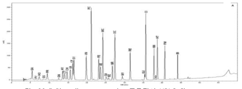 30개 Phenolic compound 표준물질의 HPLC Chromatogram