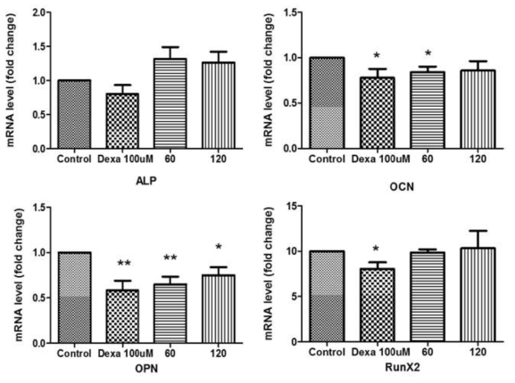 mRNA expression levels of five osteogenic transcription factors