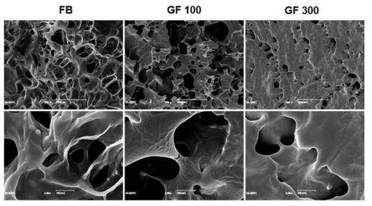 SEM images of Panax ginseng contained fibrin scaffold (GF). FB; only fibrin scaffold, GF 100; P. ginseng 100 mg/ml + fibrin scaffold, GF 300; P. ginseng 300 mg/ml + fibrin scaffold