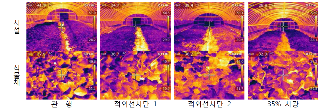 시설 내부 및 식물체 열 분포(촬영일시 : 2015. 8. 28 11～12시)