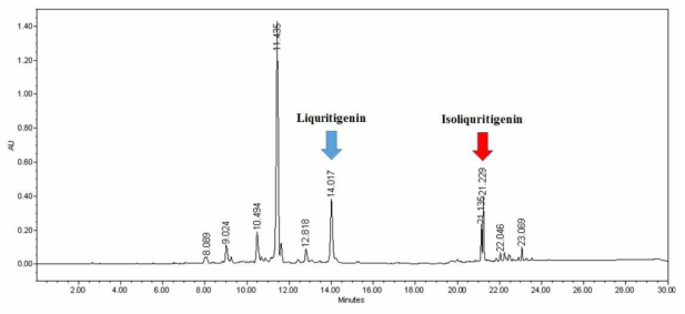 Isoliquiritigenin 및 liquiritigenin의 HPLC 크로마토그램