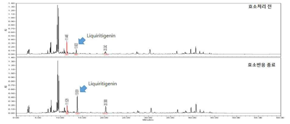 표준 공정을 이용한 발효전후 감초의 HPLC 분석 비교