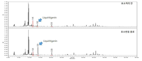 표준 공정을 이용한 발효전후 감초의 HPLC 분석 비교