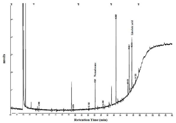 사삼 추출물 중 Linoleic acid의 GC 분석