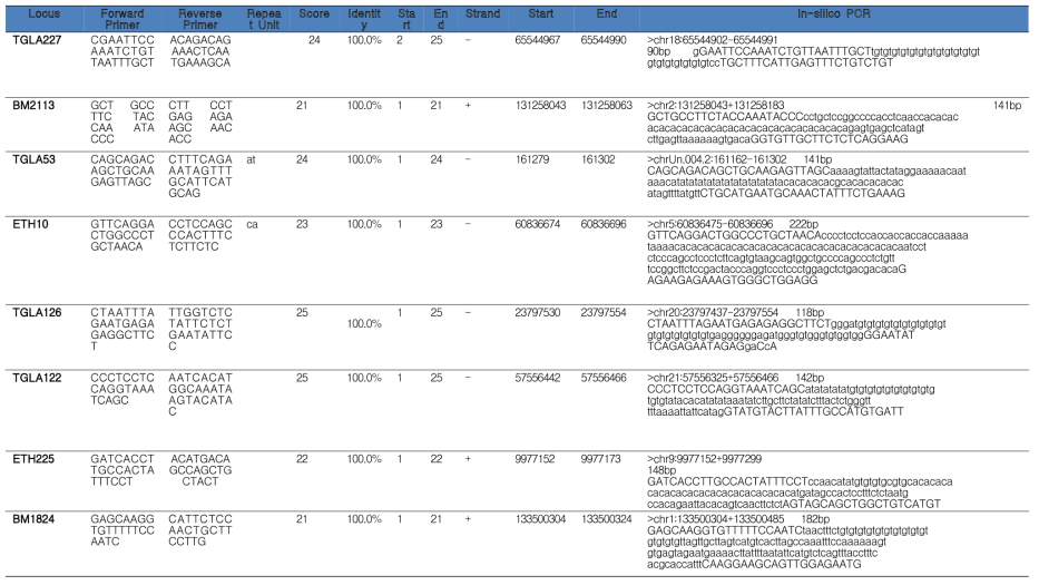 11개 MS 마커의 primer sequence, genomic position 및 BLAT 결과