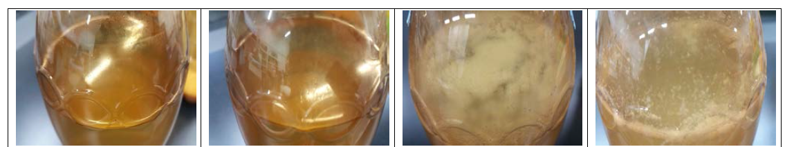 재래누룩으로 만든 생막걸리 저장온도별 이물 형성 비교(30일, 좌 : 0℃, 4, 15, 25)