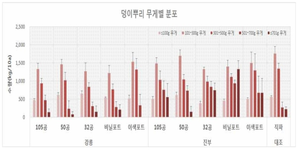 야콘 육묘방법별 덩이뿌리 무게별 분포