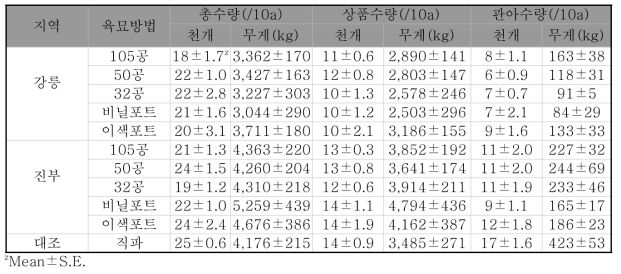 야콘 직파 및 육묘방법별 생산성