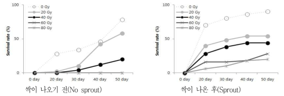 야콘 감마선량에 따른 생존율