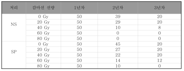 야콘 감마선 선량에 따른 우량계통 선발