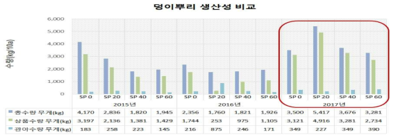 야콘 저준위 감마선 조사 선량에 따른 덩이뿌리 수량성 비교