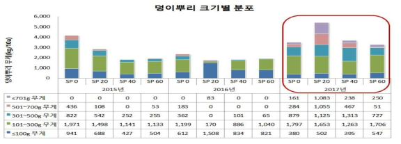 야콘 저준위 감마선 조사 선량에 따른 덩이뿌리 크기별 분포