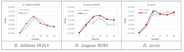 야콘 추출물의 비피도박테리움 최고 생장기 및 증식 유산균수
