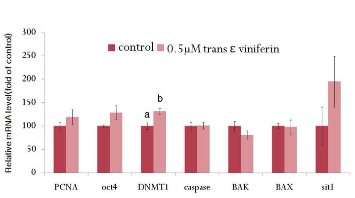 Mean ±SEM expression of PCNA, oct4, DNMT1, caspase3, BAK, BAX and sit1 mRNA in matured oocytes threated with trans ε viniferin during in vitro maturation. a-b Values with different superscripts within same column are significantly different (p< 0.05)