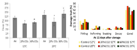 CO2 처리와 저장온도에 따른 방울토마토의 부패 발생률의 변화