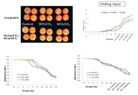 토마토 CO2 처리에 따른 저장 기간 동안 저온장해 및 외관지수의 변화
