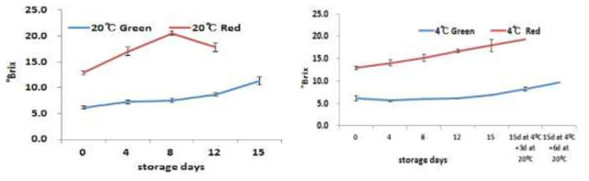 고추 저장온도별, 저장 기간 동안 당도의 변화