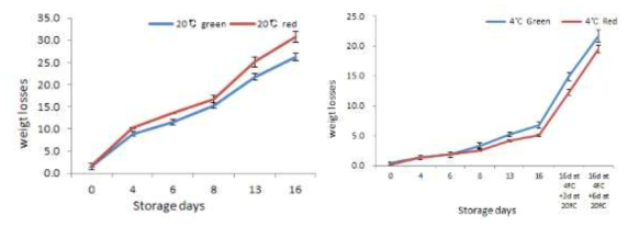 고추 저장온도별, 저장 기간 동안 중량감모율의 변화