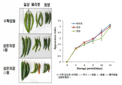 고추 품종별 상온 저장 기간 동안 외관의 변화