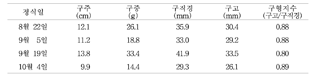 정식시기별 루시퍼 수확 구근의 특성(2016~2017)